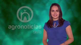 TITULARES AGRONOTICIAS sie7e PROGRAMA 177