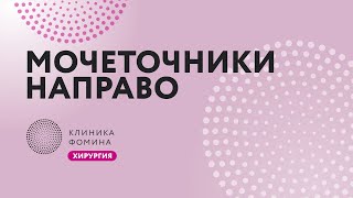 мочеточники направо // Клиника Фомина.Обучаем