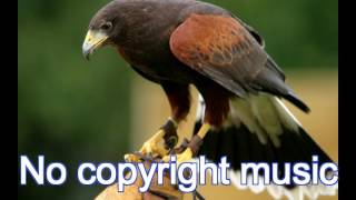 Wiggle It by - Slynk (No Copyright Music)