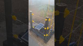 Instalação de cerca elétrica rural!!! Eletrificador Rural!! #solar #comoinstalar #cercaeletricarural