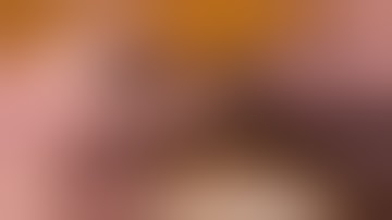 P320 Trigger bar spring install