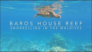 Snorkelling At Baros House Reef, Maldives
