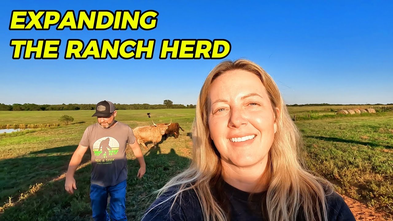 Will our new cow fit in with the ranch herd?