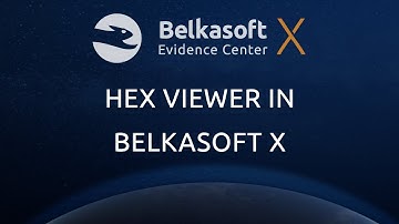 Hex Viewer in Belkasoft X