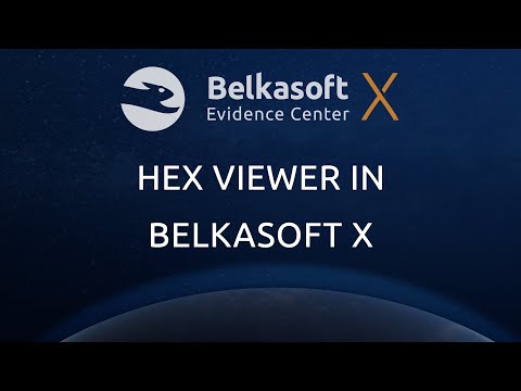 Hex Viewer in Belkasoft X