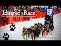 2019 Iditarod Willow Restart | Living in Alaska