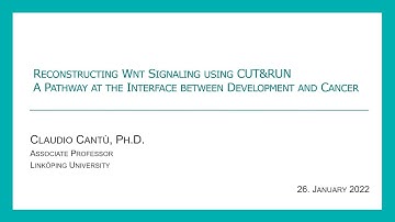 Reconstructing Wnt Signaling using CUT&RUN: a Pathway at the Interface between Development & Cancer