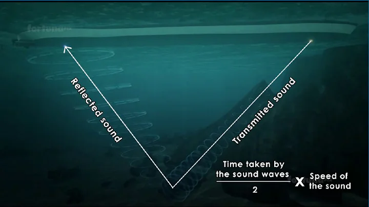 SONAR:- FULLY CONCEPT & HOW IT WORK ANIMATED VIDEO