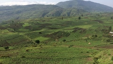 East Africa Food Security Outlook (July 2016 - January 2017)