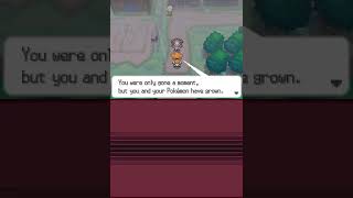 Pokémon World - Unova - Floccesy Town: Alders Request