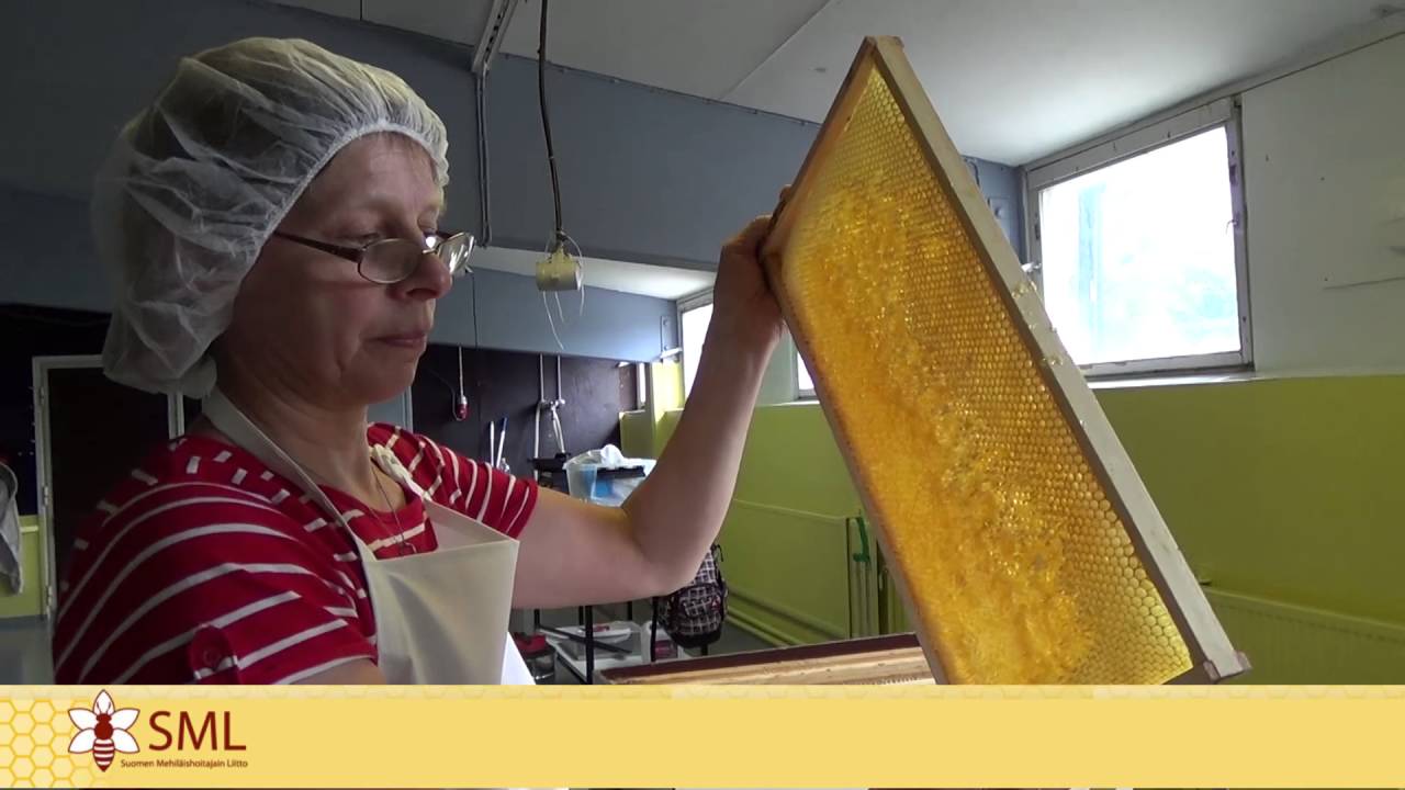 Hunajan sadonkorjuusta ja hunajakakkujen kuorinnasta