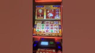 Buffalo good by #slotscasinogames 