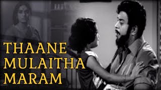 Thaane Mulaitha Maram | Itho Enthan Deivam Video Songs | இதோ எந்தன் தெய்வம் | Old Tamil Song