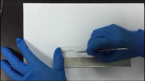Buckling Structured Stretchable Pseudocapacitor Yarn