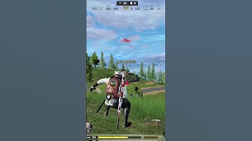 Meow went for hunting #codm #codmobile #callofdutymobile