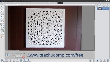 Photoshop Elements 2020 Tutorial Using the Paint Bucket Tool Adobe Training