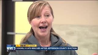 10 Animals rescued, more at large after Jefferson County eviction