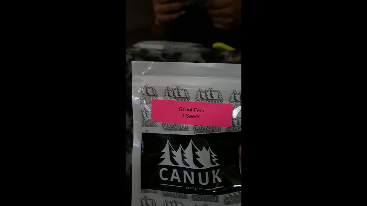 Mail call!!✉✉ true North seeds