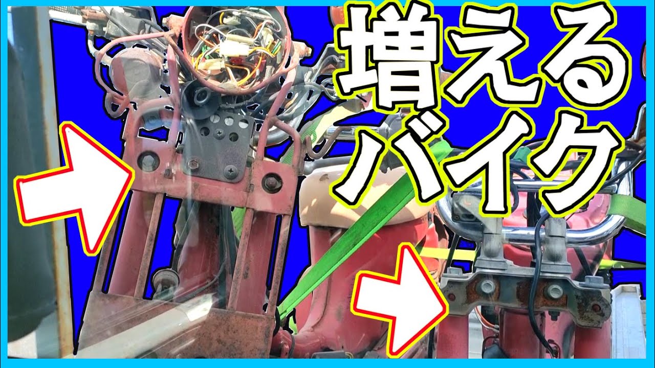 赤いビジネスバイクといえばアレ！カブ？いいやこいつは鳥だ…！ほら