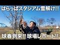 【春通信】雪解けの球場を点検!! 外野の芝は冬を越えてどうなった?