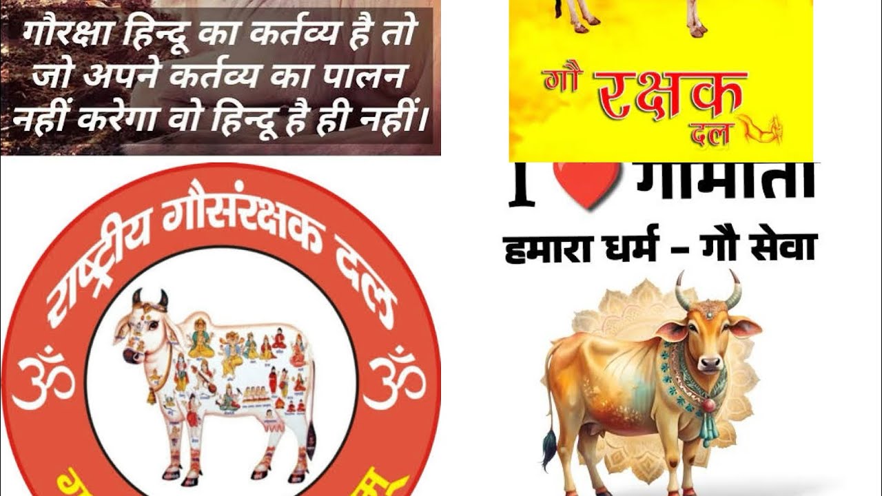 6th गौ रक्षा के लिए आवाज़ ❤️