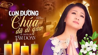 CON ĐƯỜNG CHÚA ĐÃ ĐI QUA(LM Văn Chi) | TÂM DOAN | OFFICIAL MV