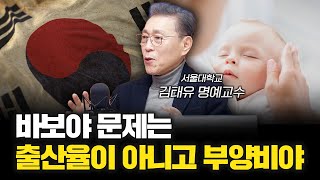 선진국 저출산 처방을 한국에 적용할수 없는 이유 f.김태유 서울대학교 명예교수 [심층인터뷰]