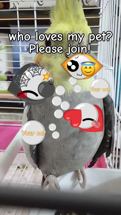 π
π€ππ£ππ ππ‘π¨π€ πΏππΏπππ