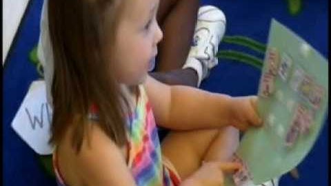 CSEFEL: V1 2 System for Centers