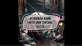 Tahukah Kamu #FAKTA UNIK TENTANG KECOA