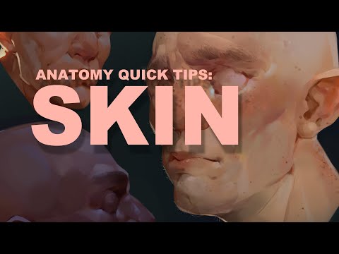 Anatomy Quick Tips: Skin