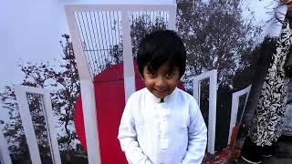 VBCF IMLD 2025