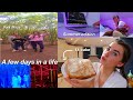 FEW DAYS IN A LIFE (York Maze, 1K cake and more)