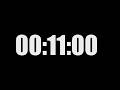11 Minute Timer