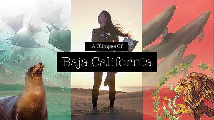 A Glimpse Of Baja California