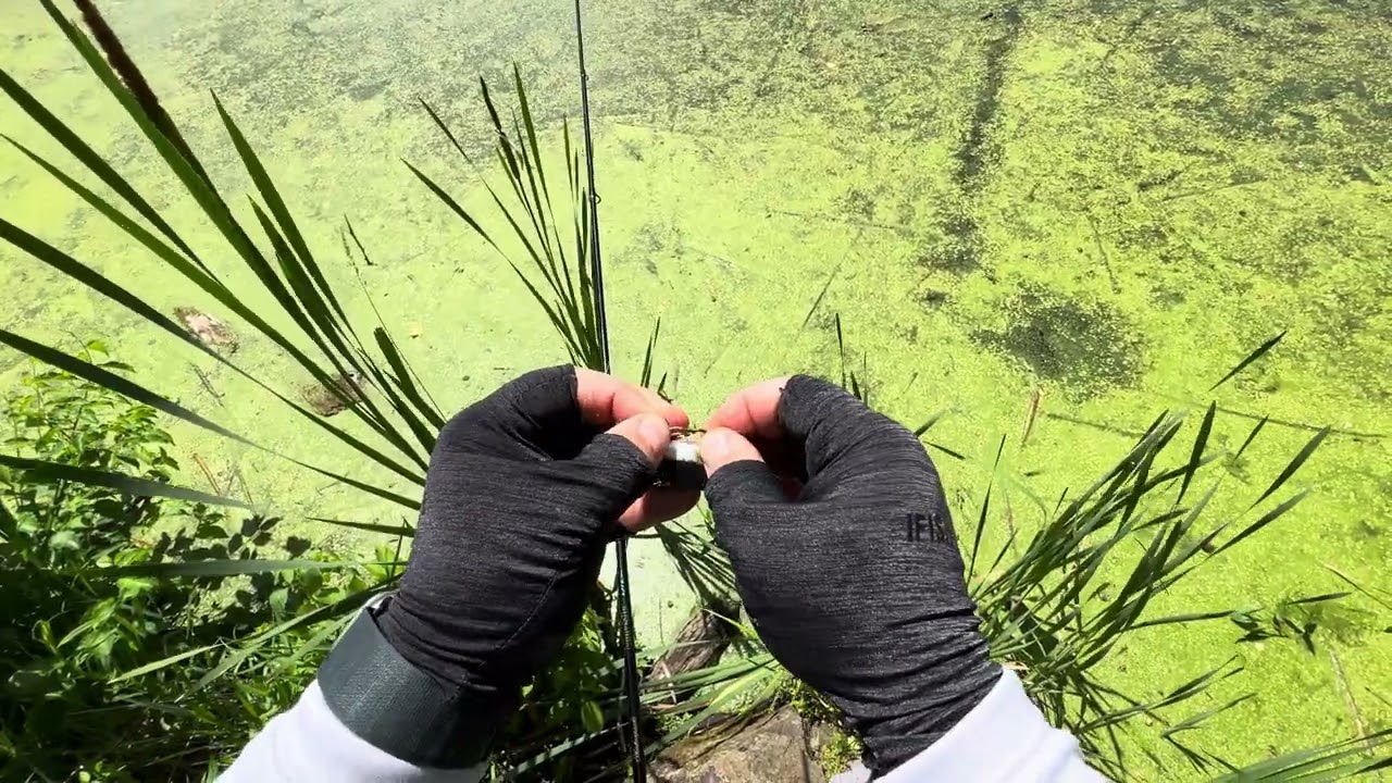 New Jersey BASS Fishing w/Gary Yamamoto Senko Black & Red on Berkley Fusion EWG Hook #asmr #silent