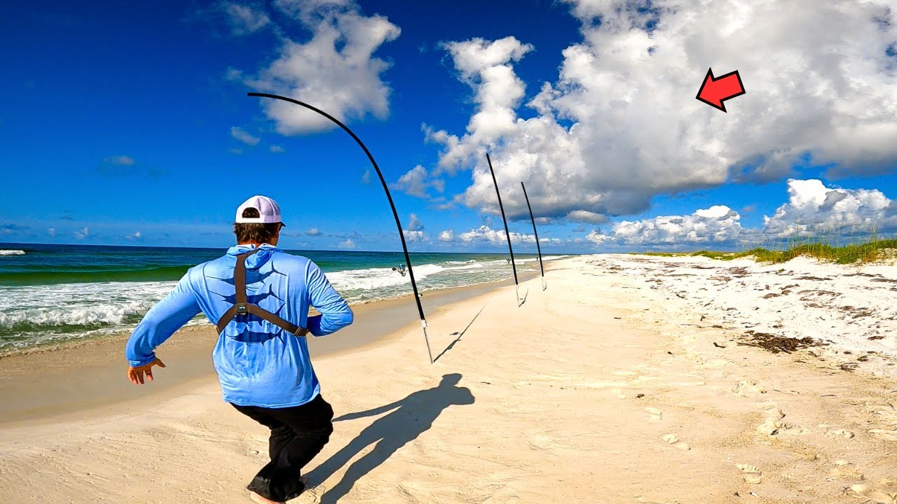 Surf Fishing the Morning Bite and Caught This! (Summertime Slabs)