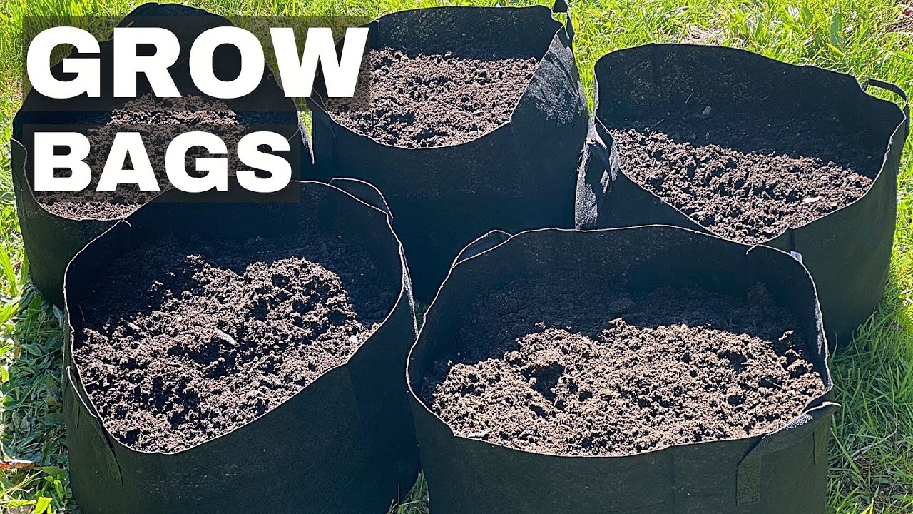 Grow Bags || Prep to Start a Grow Bag Garden || Soil for grow bags ...