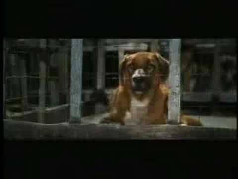 Imagen Trailer