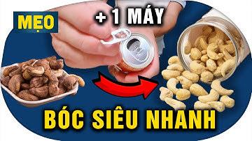 Mẹo Tách Vỏ Hạt Điều Nhanh Như Máy – Đơn Giản Ai Cũng Làm Được!