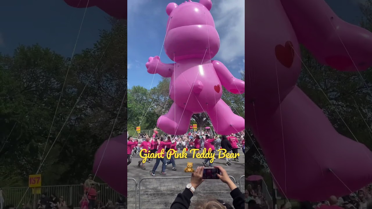 Giant Pink Teddy Bear🧸 at Cherry Blossom Parade DC 2023 