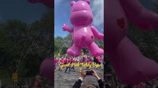 Giant Pink Teddy Bearπ§Έ at Cherry Blossom Parade DC 2023 #shorts #short #fyp #dc #teddy #teddybear