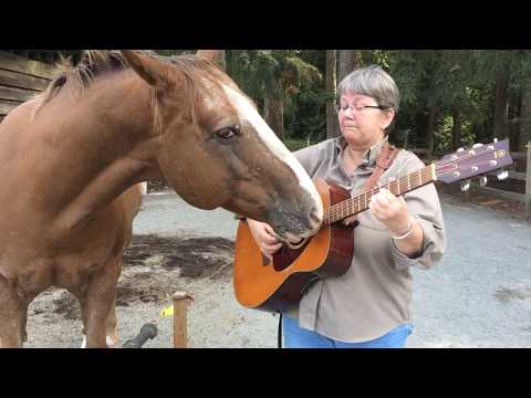 Funny Horse playing guitar