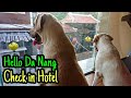 Chuyến đi xuyên Việt của Kim Chi Củ Cải - Xin Chào Đà Nẵng Xinh Đẹp, Check in Hotel
