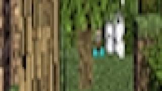 weird bug.AVI