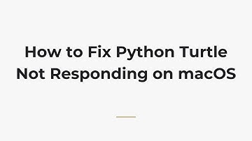 How to Fix Python Turtle Not Responding on macOS