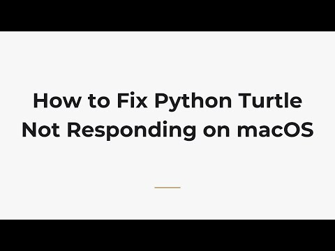 How to Fix Python Turtle Not Responding on macOS