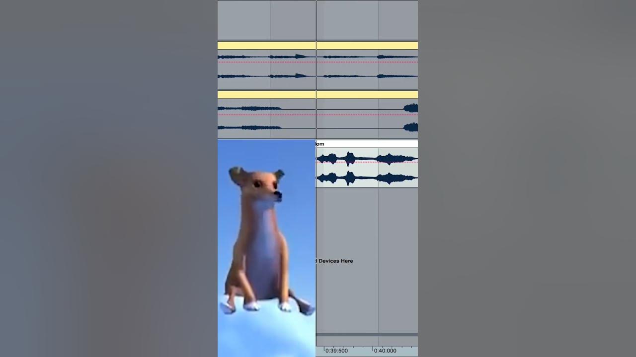 Mr. SanDOG | #dogofwisdom #mrsandman #sandman #fypシ #memes #tiktok #foryou #dream #remix #edit #fun