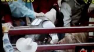 IFR Bucking Stock Sale 2011