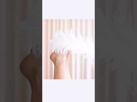 Playtime with Ostrich feathers (come watch the full video)